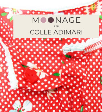 Mode Labels